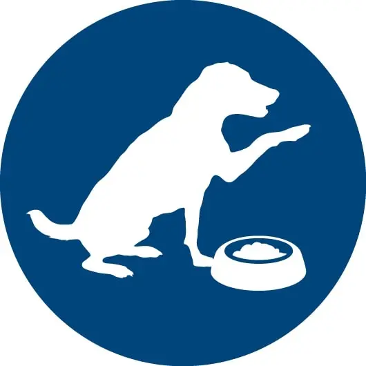 Icono de comer perro