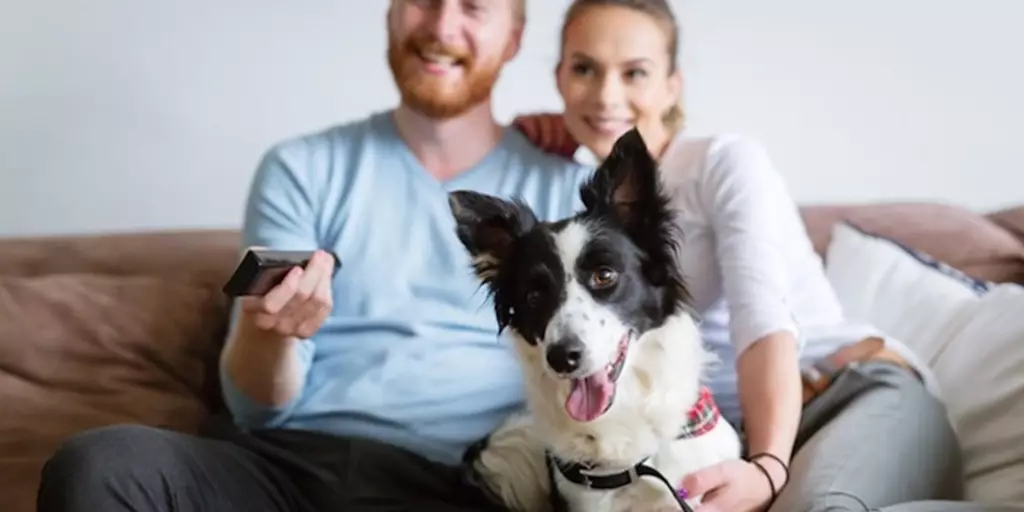 Smiling couple sits on a couch holding a remote while watching TV with their happy dog.