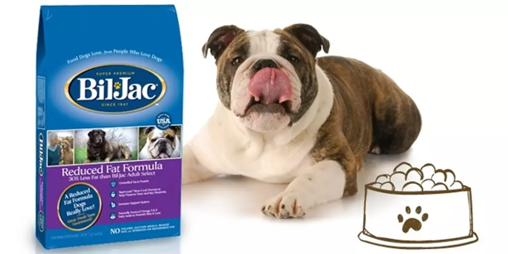 An overweight dog enjoys Bil-Jac Reduced Fat Dog Food to avoid winter weight gain.