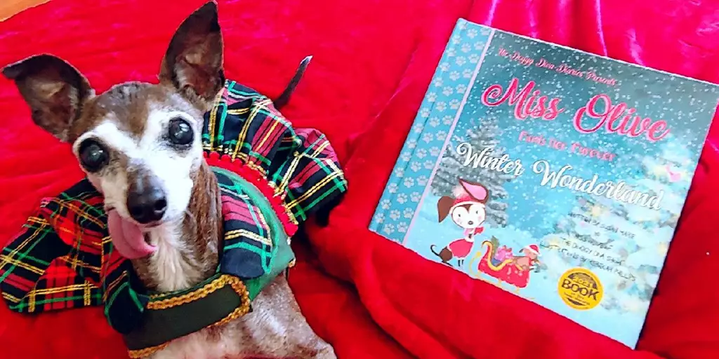 Miss Olive posing with her new book, Miss Olive Finds Her "Furever" Winter Wonderland.