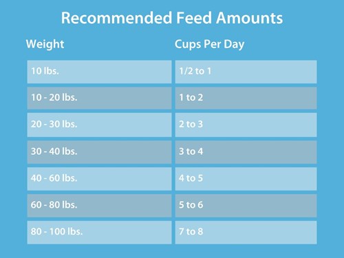 A puppy food chart with recommended feed amounts.