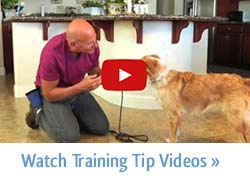 Watch Training Tip Videos