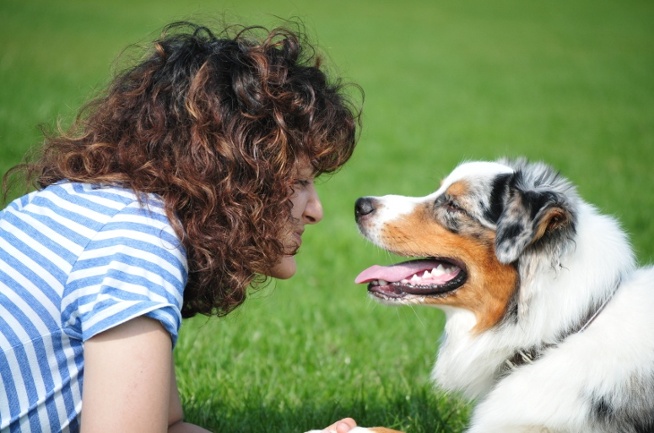 14 Ways Your Dog Says “I Love You” - The Dog Blog