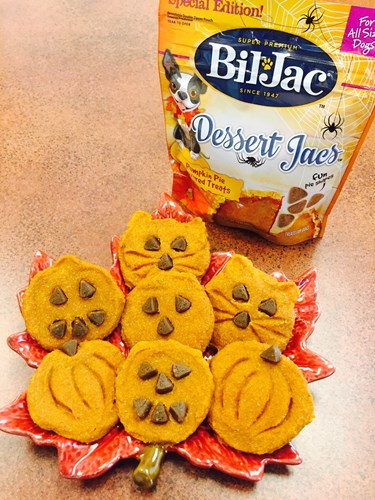 Pumpkin dog cookies with Bil-Jac Dessert Jacs Treats.